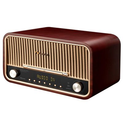 رادیو اسپیکر